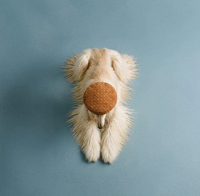 The Bite Creative | Creativity Backed by Science